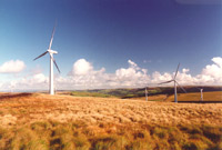 Wind farm