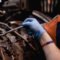 £75 million scheme to create 12,000 jobs in Wales