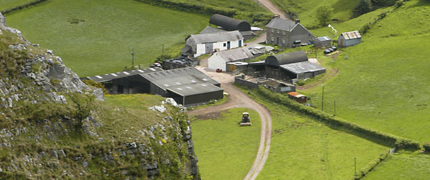 Farm