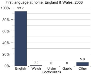 Graph Showing First Language at Home, England & Wales, 2006